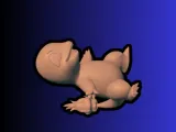 Charmander Pokemon-5