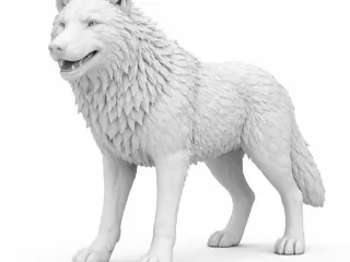 Wolf