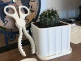 cactus shears-1