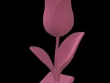 Tulipano-2