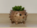 Spiky Hedgehog Succulent Planter-1