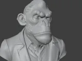Bored Ape Bust 3D STL Printable 3D Model STL 3D print model-3