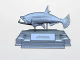 PAYARA-3