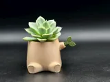 Sprouting Tree Stump Magnetic Planter-2