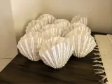 Vase Conch Shell Natural-1