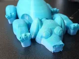 Puppy-2