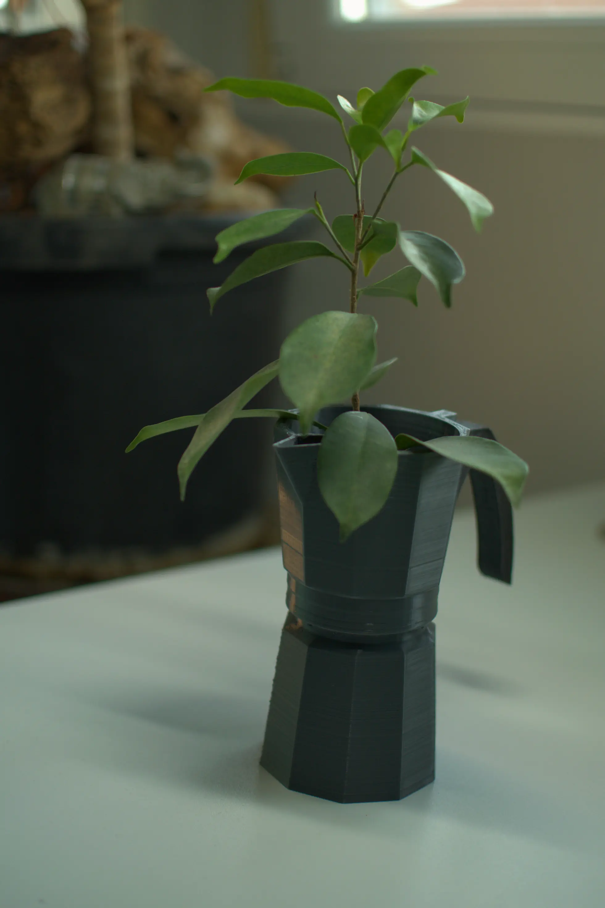 Self-watering pot coffee pot