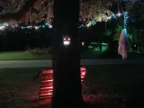 Spooky Tree Face-2