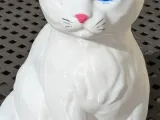 Cat white-1