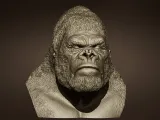 King Kong' bust-2