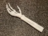 Hand Skeleton TPU-3