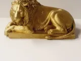 lion-5