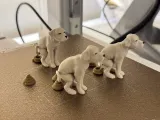 The Pooping Dog-1