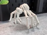 Flexi Skeleton Spider V1-4