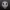 Canine Fursuit Head Base