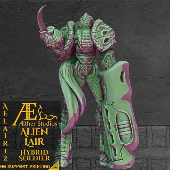 AELAIR12 - Hybrid Soldier