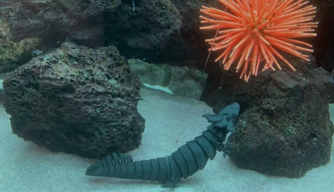 Axolotl articolato