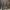 Z.O.D. Madeira Amaldiçoada (28mm/escala heroica)