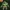 Shendu 3D Model - Jackie Chan Adventures Villain