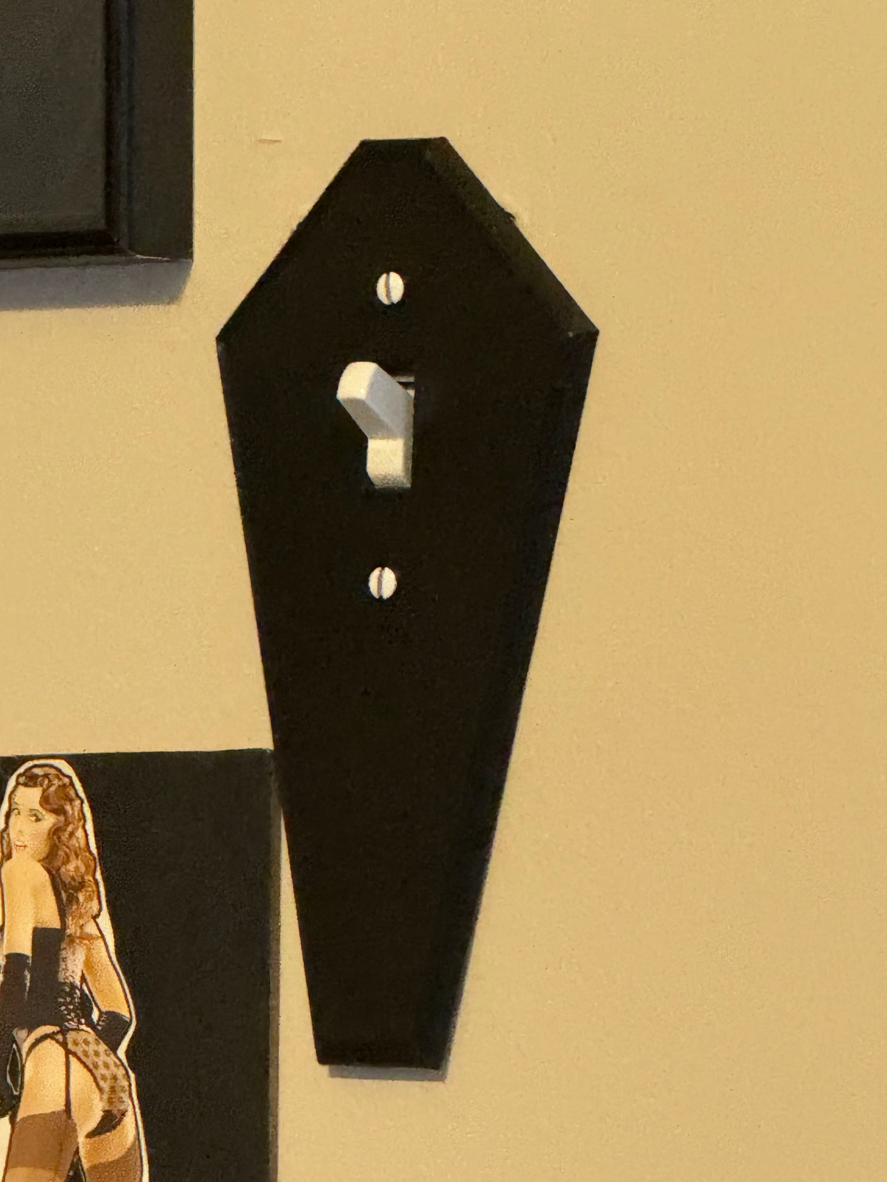 Coffin Light Switch Cover
