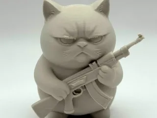 Grumpy Rifle Kitten