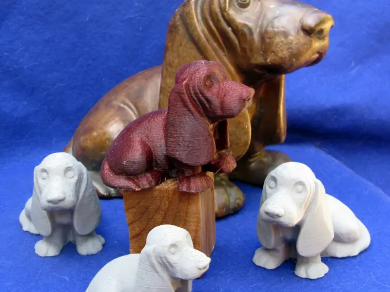 Basset Hound  