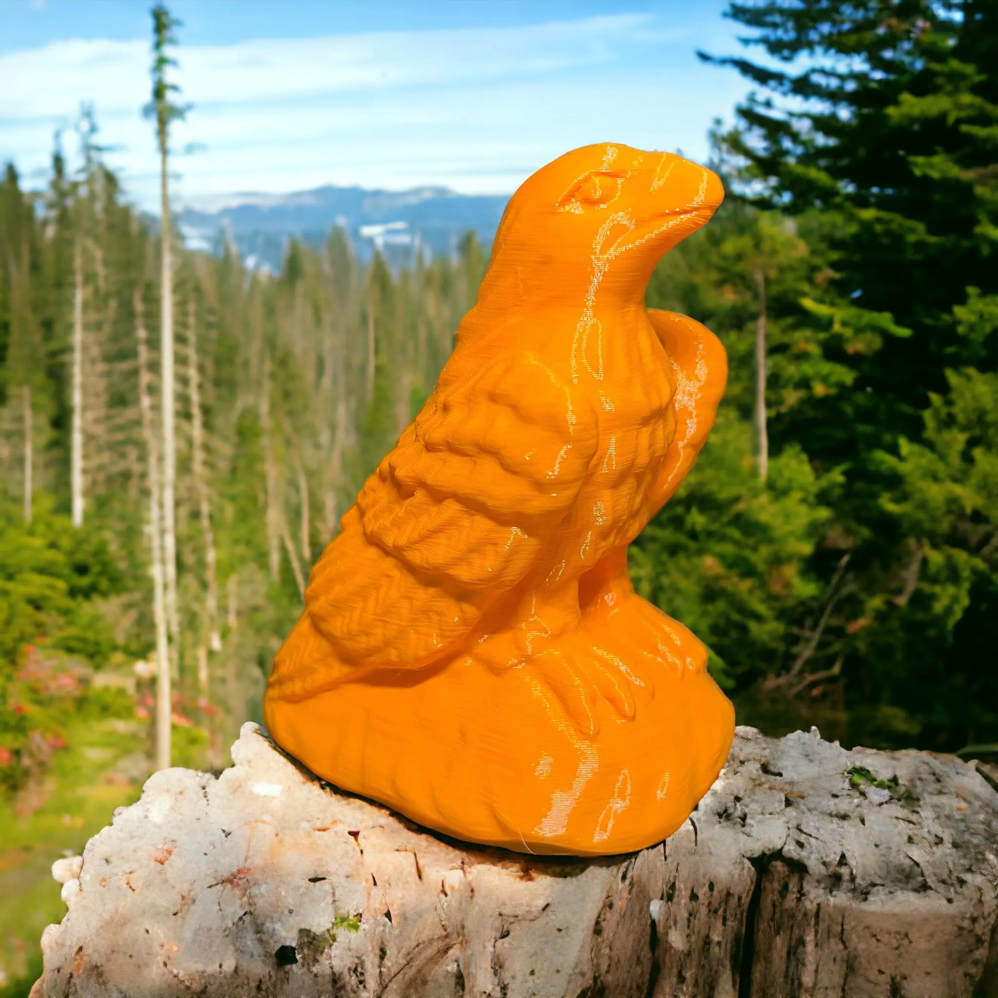 Eagle no support