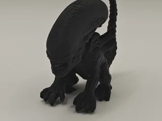 Baby xenomorph