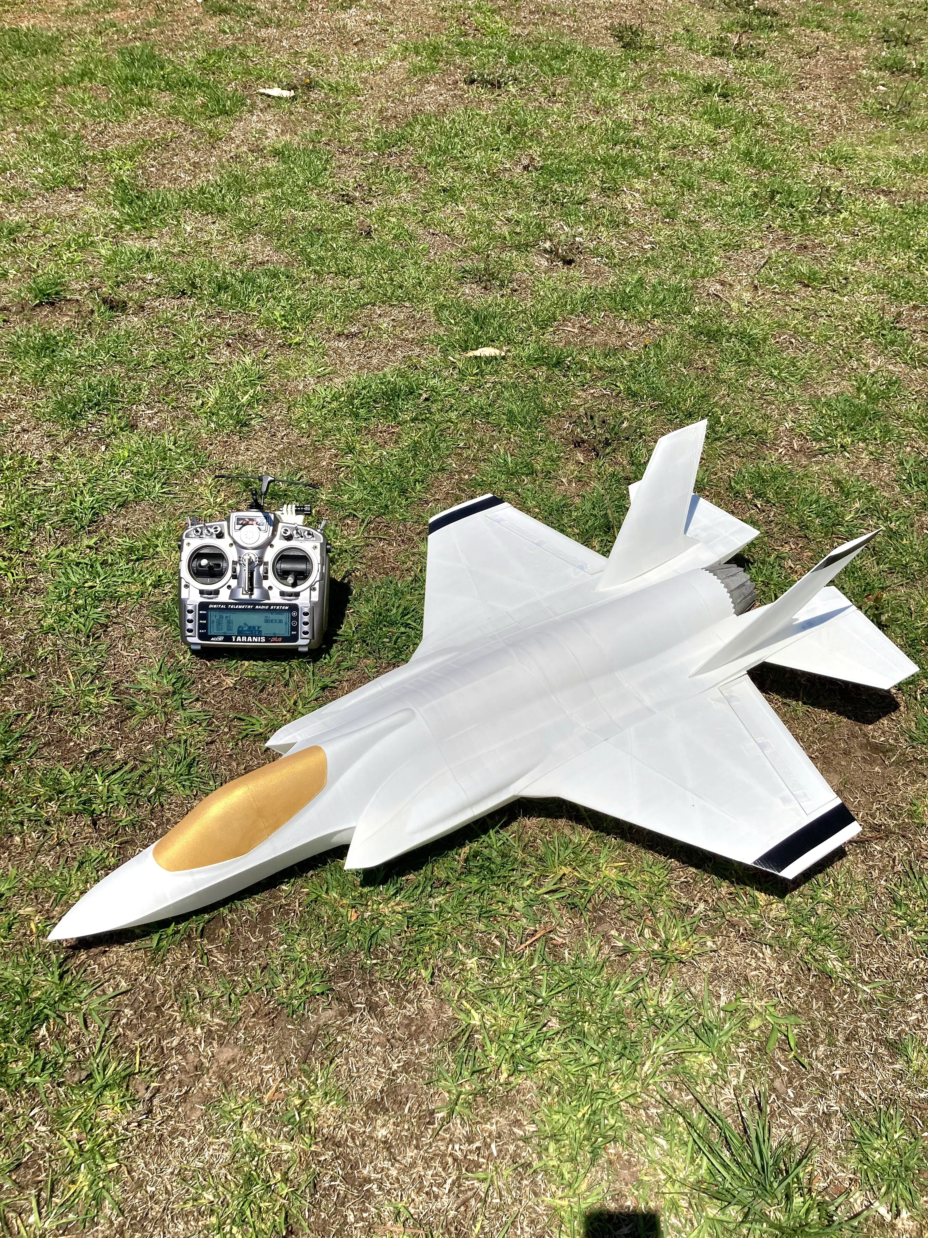 Lockeed Martin F-35A Lightning II 720mm EDF Flyable RC Jet