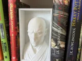 Voldemort_Book_Nook-0
