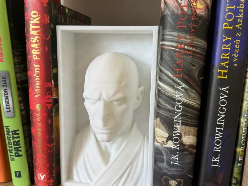 Voldemort_Book_Nook