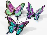 Multi color butterfly-3