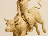 Rodeio Bull -1