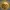 Acme Token 5 Tweety