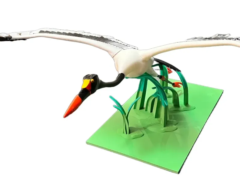 Saddlebill Stork - advanced print