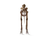 Dog Skeleton – Realistic Anatomical Animal 3D Model-1