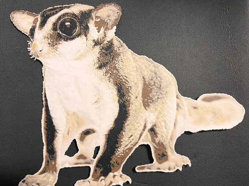 Sugar Glider filament painting (Hueforge)