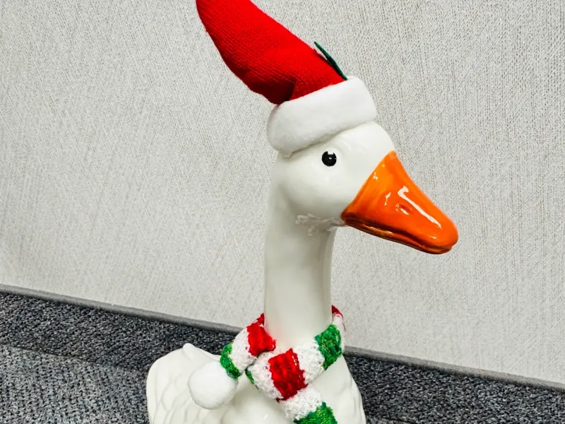 Christmas Goose