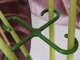 Plant Stem Hook-0