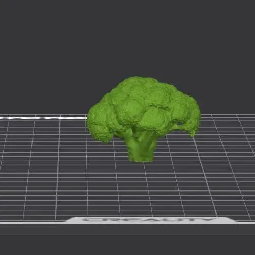 Broccoli– Realistic 3D Model