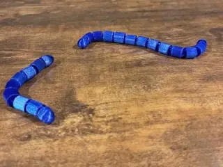 fidget worm