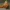 Pumkin Boy Chonk - MEME - CREALITY CLOUD EXCLUSIV