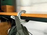 Gravity Hook - Universal Backpack Hanger-5