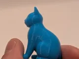 smooth cat-2