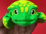 Articulated Turtle-5