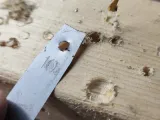 Ender 3 V3 KE & SE - Bed Levelling-4