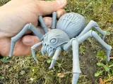 Spider monster, tarantula-1