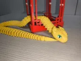 Adorable serpiente murciélago-2