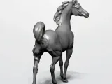 HORSE-1