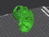 cat skull half cut-0